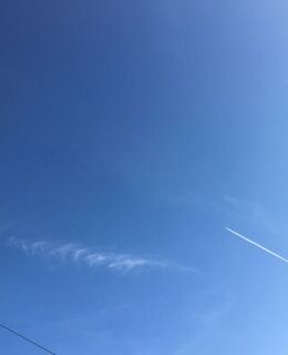 Миша Йцуфывячс